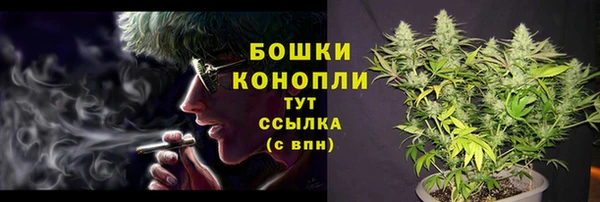гидропоника Горнозаводск