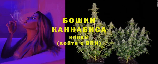 гидропоника Горнозаводск