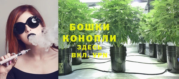 экстази Горняк