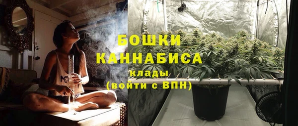 гидропоника Горнозаводск